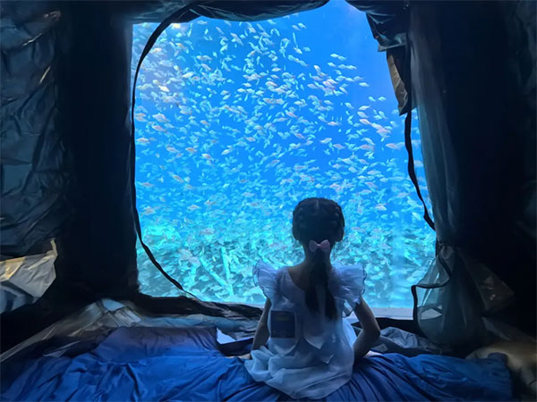 8月(yuè)2日(rì)海(hǎi)洋夜宿火(huǒ)熱(rè)招募!與魚共眠的(de)浪漫奇遇名額有(yǒu)限,速來(lái)!